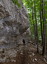 Fasce di roccia nel bosco sotto Varco Medoro.