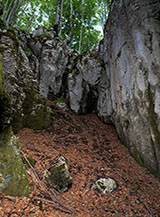Scorcio di un fianco di Grava della Strettina.