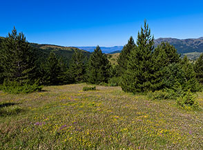 Vista dal belvedere alla partenza del sentiero per la Valle Fredda.