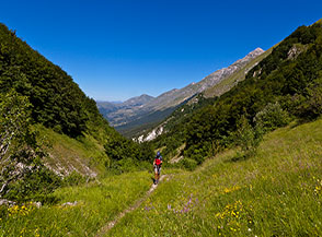 Panorama nel tratto centrale della bellissima Valle Fredda.