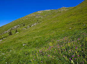 I vasti penddi prativi che racchiudono la parte alta di Valle Fredda.