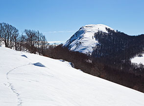 Verso la lucente cima di Monte delle Canelle.