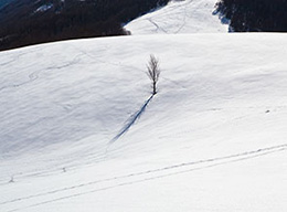 Monte delle Canelle e M.di Selva Canuta