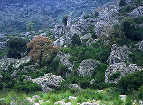 I Massi delle Fate in Valle di San Vito.
