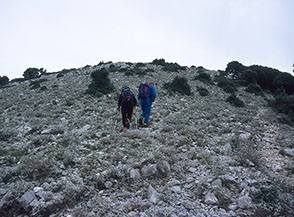 Sulla piramide sommitale di Monte delle Fate, completamente ricoperta di salvia selvatica.