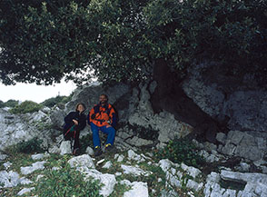 Lo splendido leccio cresciuto fra le rocce della Cresta Est di Monte delle Fate.