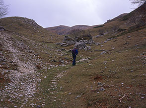 Uscita dal bosco in localit&agrave; Maiolica.
