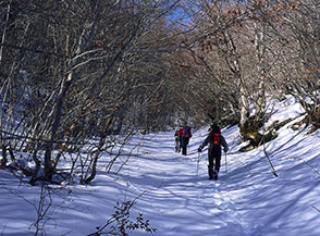 All&rsquo;inizio del percorso nel Vallone delle Fontanelle (Gagliano Aterno).