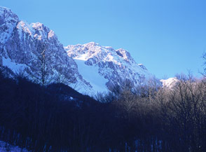 Uno dei canaloni bianchi di neve che confluiscono nel circo della Neviera, nascosto dalla volta boscosa.