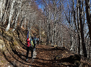 Nel bosco della Valle del Rio Fucino.