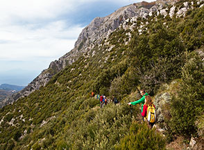 Nella macchia mediterranea presso Capo Muro.