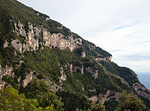 Ordini di falesie rocciose emergono dal bosco di lecci sopra il Sentiero degli Dei (Vallone Nocella).