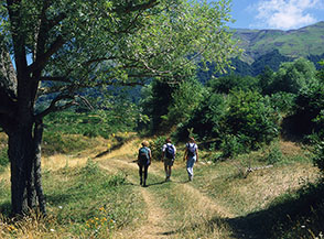 In marcia verso Monte di Mezzo (superato Rio Fucino).