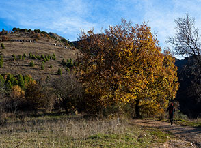 Primi passi verso Fosso Flogara.