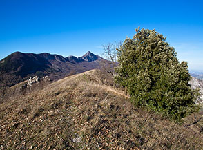 L&rsquo;anonima cima di Monte di Roccatagliata.
