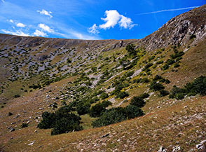 Scorcio sui fianchi del circo glaciale alla testata della Valle dell&rsquo;Ortella.