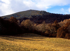 Dalla radura di Fossa Perrone vista sulla cresta di Rocca Genovese.