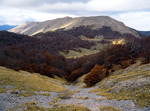 Dalla Cresta Ovest di Monte di Valle Caprara vista sulla parte alta del Vallone Lampazzo, sullo sfondo la cresta di Rocca Genovese.