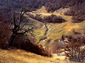 Scorcio sulla radura dello Stazzo Lampazzo scendendo dalla Costa dell&rsquo;Ortella.