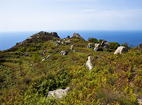 Fra le felci di un&rsquo;amena valletta verso il cucuzzolo de la Serra.