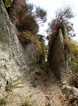 La tagliata che s&rsquo;incontra a Bocca di Serra.