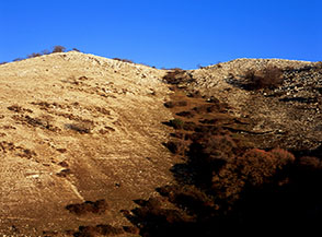La cresta sotto Monte Rinsaturo.