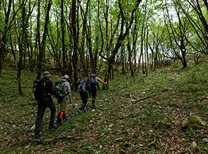 Nei boschi sotto il Monte Fragoloso.