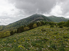 Dai prati di Volta del Corno compare in lontananza la nostra meta: il Monte Faggeto.