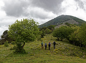 Ai piedi della Cresta Sud-Est del Monte Faggeto.