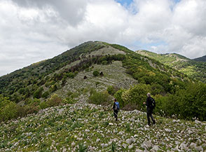 Sulla lunga Cresta Sud-Est del Monte Faggeto.