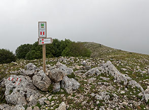Cima del Monte Faggeto.