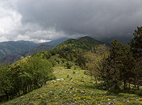 Sulla Cresta Sud-Est del Monte Faggeto verso Serra Macere.