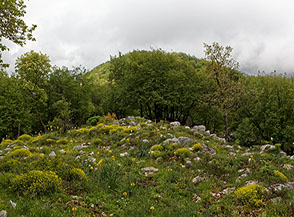 Piccola radura sulla cresta boscosa di Serra Macere.