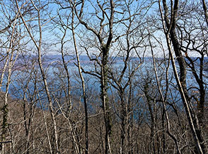 Vista sul Lago di Vico, offuscata dagli alberi, lungo la Cresta Sud del Monte Fogliano.