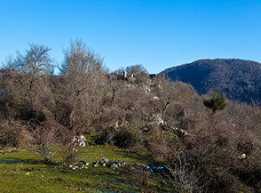 Il colle con i ruderi della Muraccia del Poggio alle pendici del Monte Arcaro.