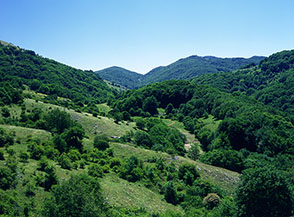 La vallata di Camposecco vista dal Fontanile dell&rsquo;Oppieta.