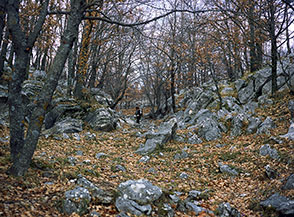 Salendo dal Piano la Valle (Cisterna Cupa) al Campo di Venza.