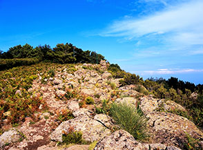 La cima di Monte Fossa delle Felci vista da ovest (Isola di Salina).