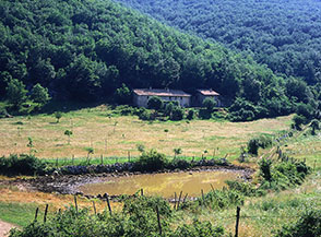 Casale Pistoni ai margini della radura prativa del Pozzo a Monte Fratta.