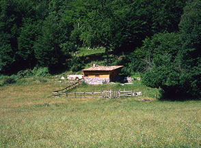 Altro suggestivo scorcio della radura del Pozzo.