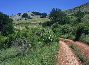 La Valle delle Rose (senza nome su l&rsquo;IGM) che collega il piano del Pozzo con i Prati Sante Marie.