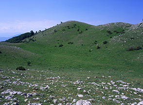 La bella conca prativa alla testata della Valle Longa.