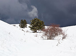 Monte Gabbia e Col Maggio