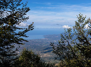 Vista verso la costa da una finestra nel Bosco del Belvedere.