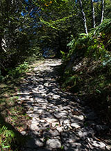 Un tratto lastricato dell&rsquo;Antica Via dei Pellegrini al Monte Gelbison.