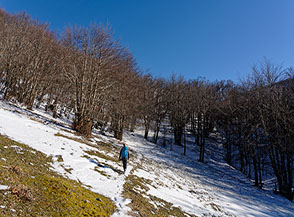 Scorcio nel bosco sul Versante Ovest di Monte Giano.