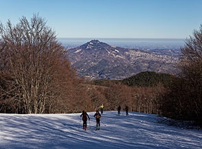 Da San Giacomo si rimonta una pista dismessa verso monte.