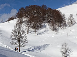Monte Godi e Cima Est