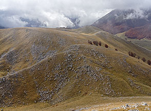 Uno sguardo sui colli prativi che si trovano sul versante meridionale del Monte Godi.