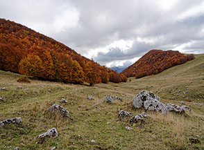 Scorcio sui prati del Ferroio di Scanno.